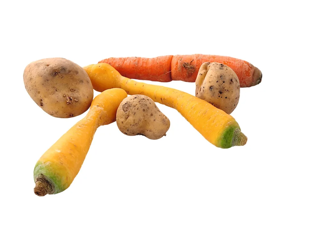 0dd28d31ae190107793864cbd70df7a3c7e9d8d1 Die «Food Waste»-Studie das Bafu zeigt, dass in der Schweiz etwa 1 Million Tonnen Lebensmittel weggeworfen werden. Bild. Jürg Vollmer