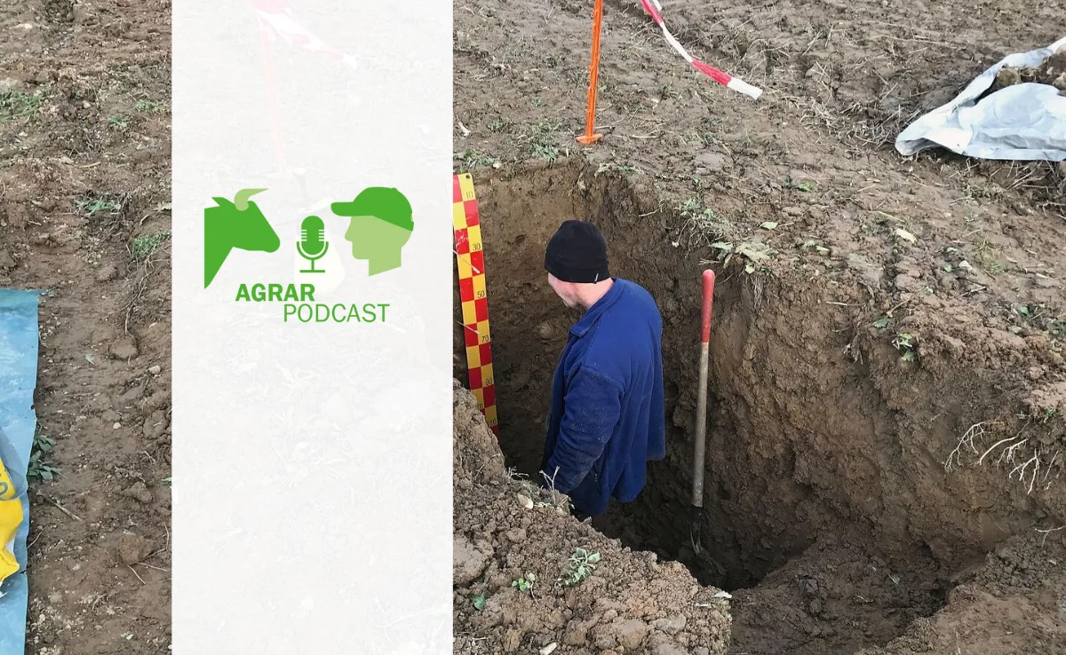 «AgrarPodcast» Episode 30: Gesunder Boden, Rinder in Australien und zu wenig Tierärzte