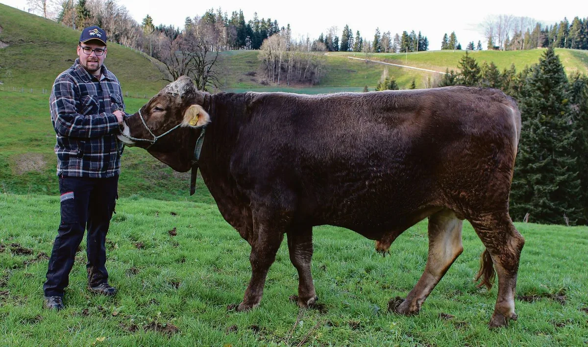 bd09ab44eb0b0c62e549246089385ec47c627e34b454f8b49d65902ef45bbc02 Der Entlebucher Thomas Müller mit seinem KB-Stier «Einfach» im Dezember 2022.