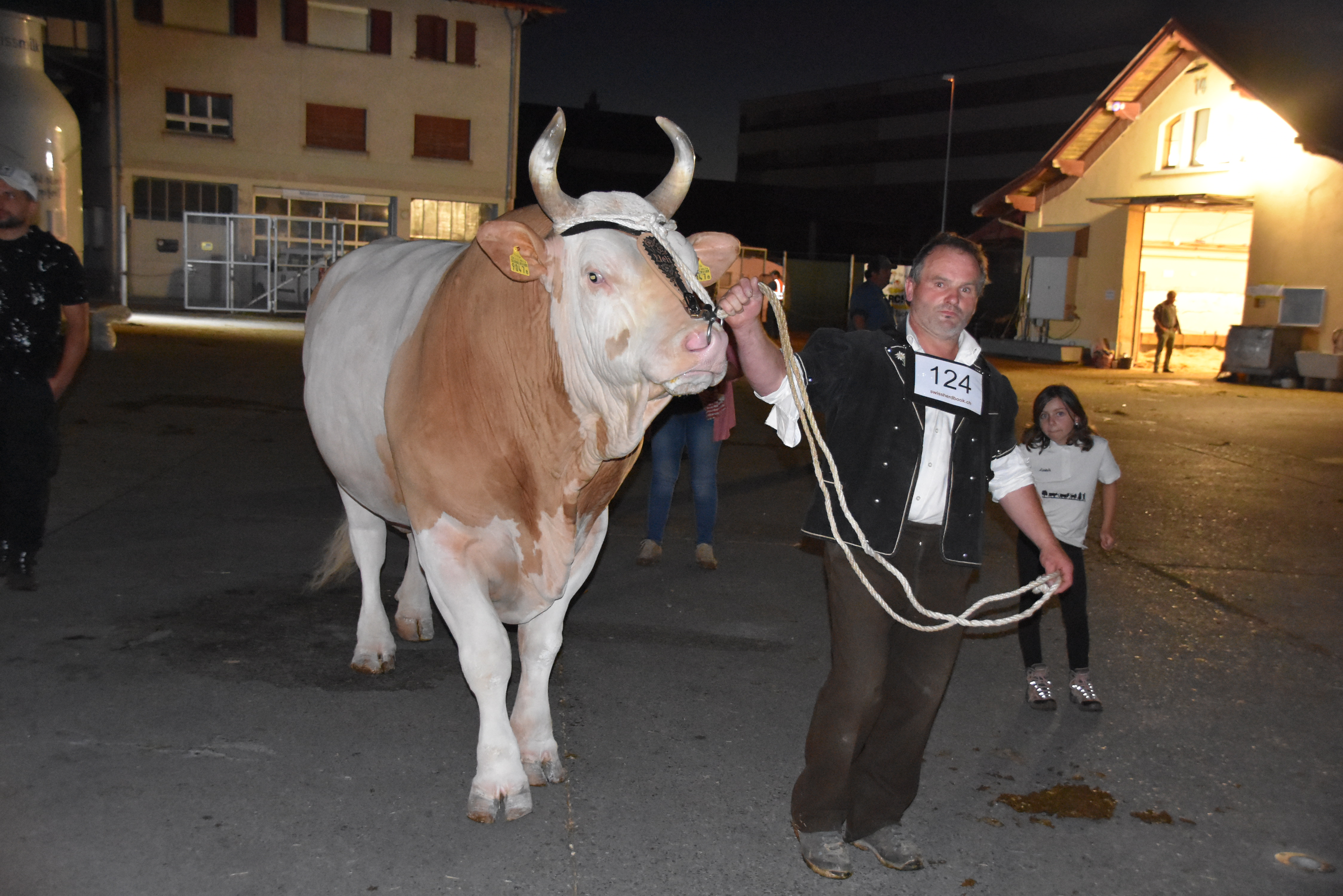 Ueli Germann aus Adelboden BE mit seinem achtjährigen Stier Aladin. Der Simmentalerstier wurde mit 55 97 punktiert und wurde  von den Experten zum Mister Thun gewählt.
