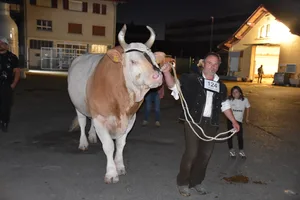 Ueli Germann aus Adelboden BE mit seinem achtjährigen Stier Aladin. Der Simmentalerstier wurde mit 55 97 punktiert und wurde von den Experten zum Mister Thun gewählt.