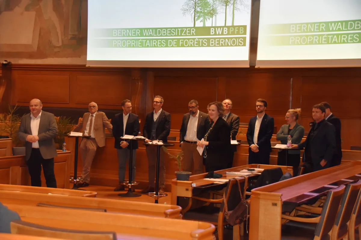 NS_C_7_Wald-topaz-lighting-upscale-2x Wenn diese Regierungsrätinnen und Regierungsräte gewählt werden, sieht ihre Waldnutzung im Kanton Bern unterschiedlich aus