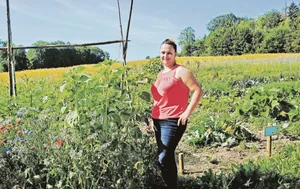 «Mein Gemüsegarten» zum Mieten: Petra Küng teilt ihr Gärtnerglück mit anderen. (Bild Erika Lüscher)