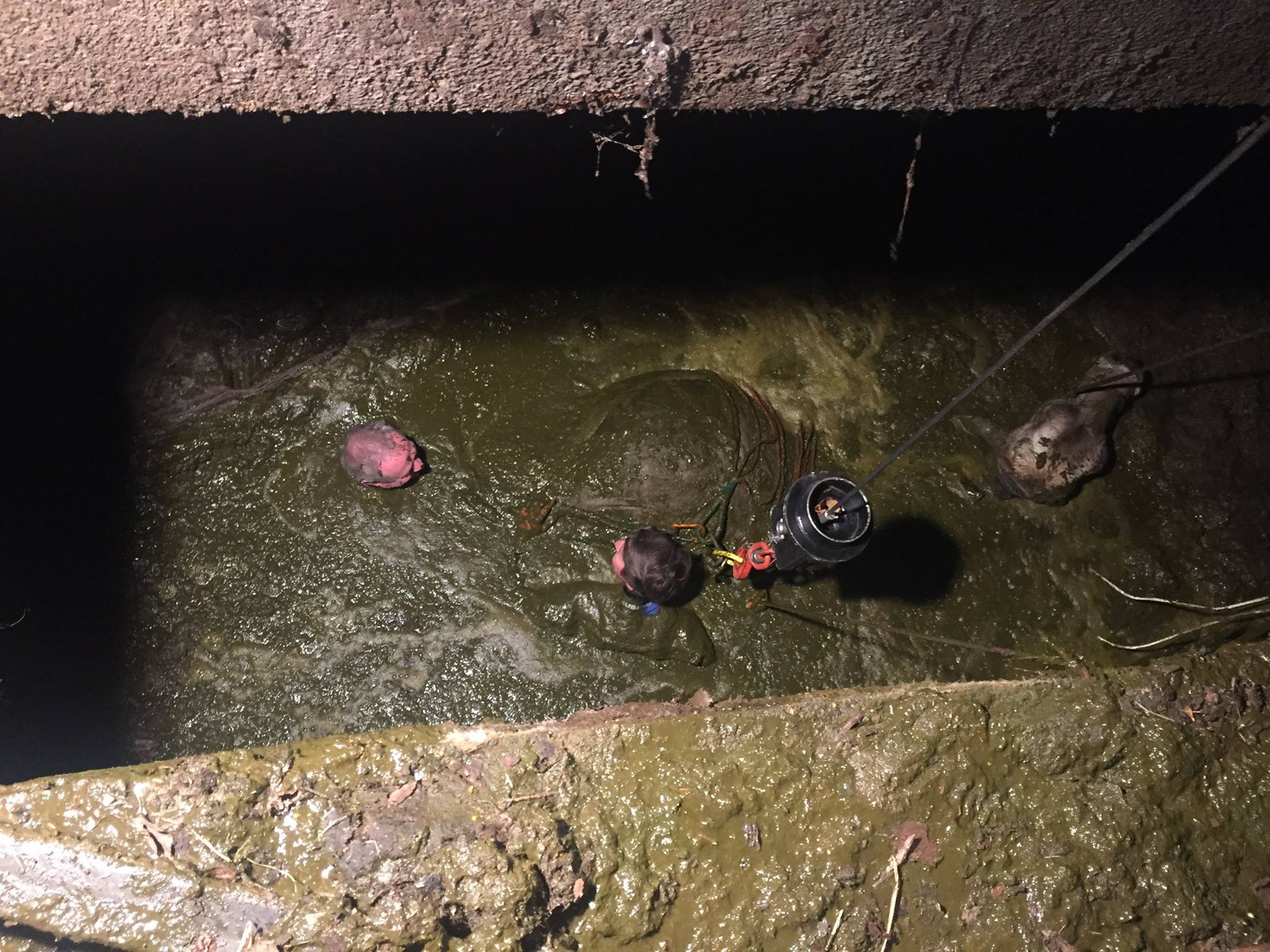 Das Rettungsteam im Einsatz. (Bilder Stadtpolizei Uster)