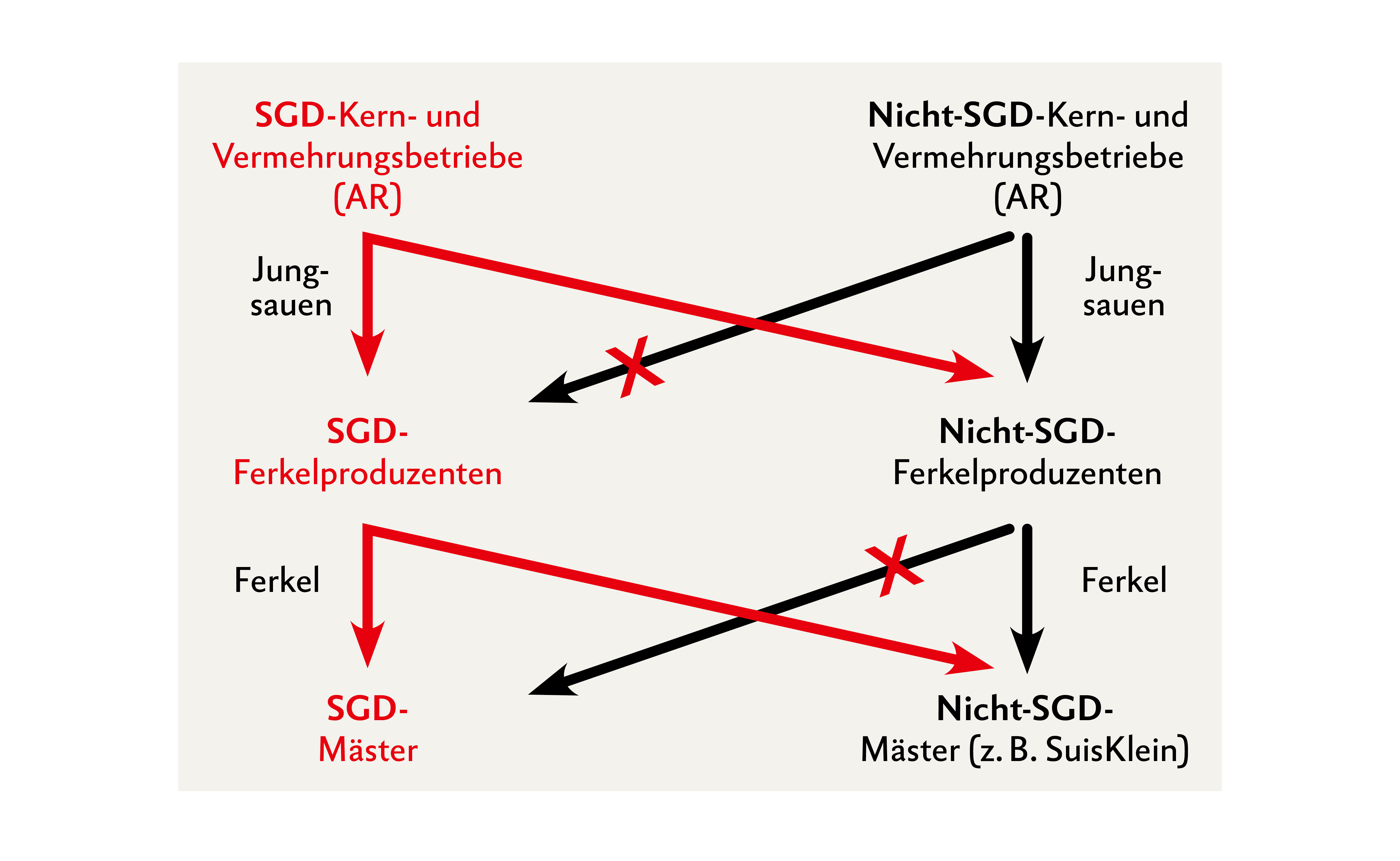 Hinweis: «SuisKlein» gibt keine Auskunft über den Gesundheitszustand im Betrieb, sondern attestiert nur das Führen des EBJs! Quelle: Suisag