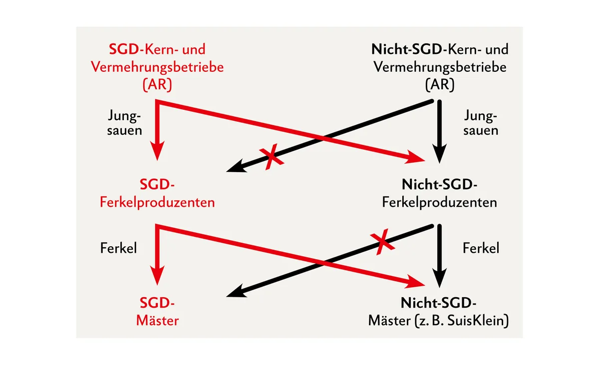 DG05-Grafiken4 Hinweis: «SuisKlein» gibt keine Auskunft über den Gesundheitszustand im Betrieb, sondern attestiert nur das Führen des EBJs! Quelle: Suisag