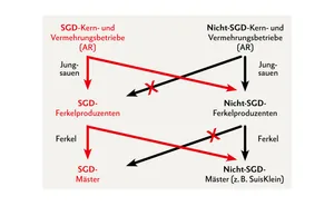 Hinweis: «SuisKlein» gibt keine Auskunft über den Gesundheitszustand im Betrieb, sondern attestiert nur das Führen des EBJs! Quelle: Suisag