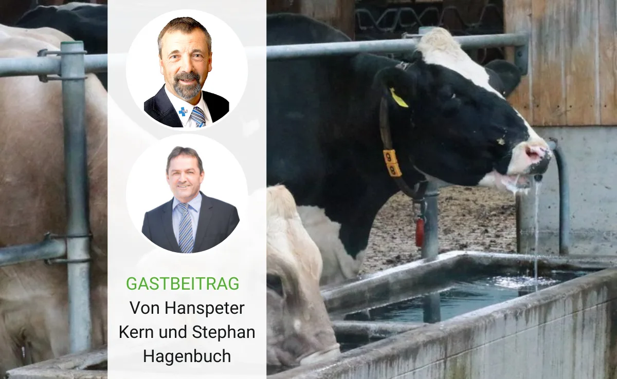 gastbeitrag_51_smp Gute Milchmarktlage und politische Hektik im Jahr 2021