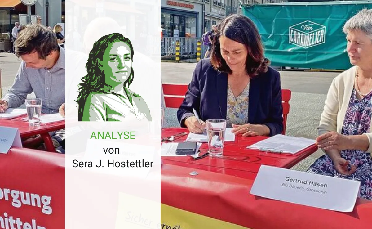 analyse_sjh_initiativen Argumente kann man nur mit Wissen formen