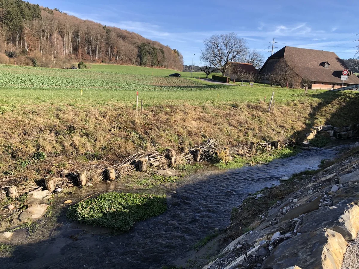 Brach-Revitalisiert Gewässer und Land verbinden, um Biodiversität zu fördern und resilienter zu produzieren