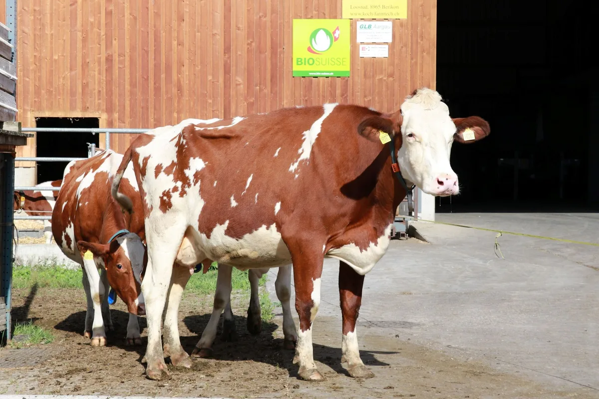 Bio_Aargau Bio wächst im Aargau: Es gibt immer mehr Betriebe und Berufsabschlüsse