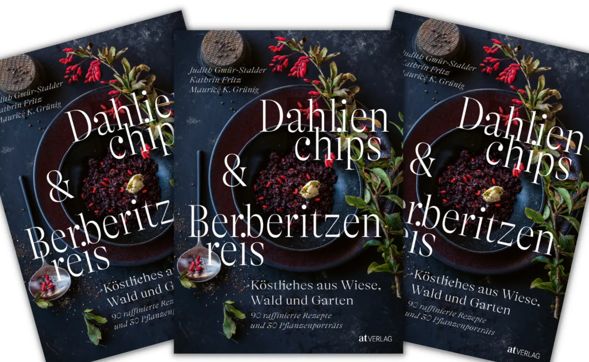 kochbuch-gmuer-stalder Ein buntes Kochbuch präsentiert Essbares aus Wald und Garten