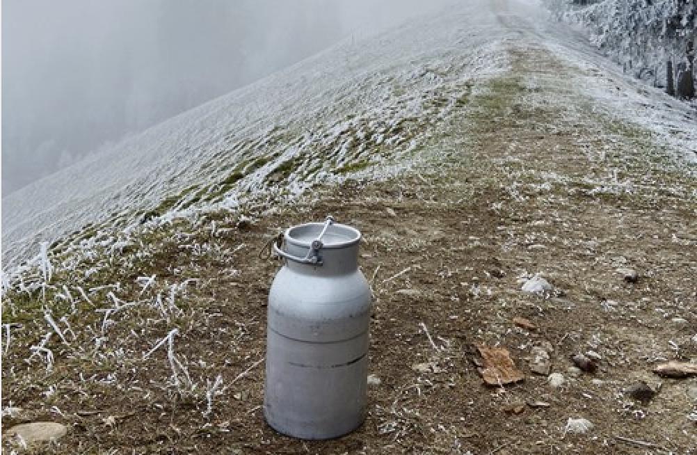 Manch ein Milchbauer fühlte sich die letzten Jahre alleine gelassen von den Abnehmern. Nun hellt sich der Horizont leicht auf. (Bild akr)