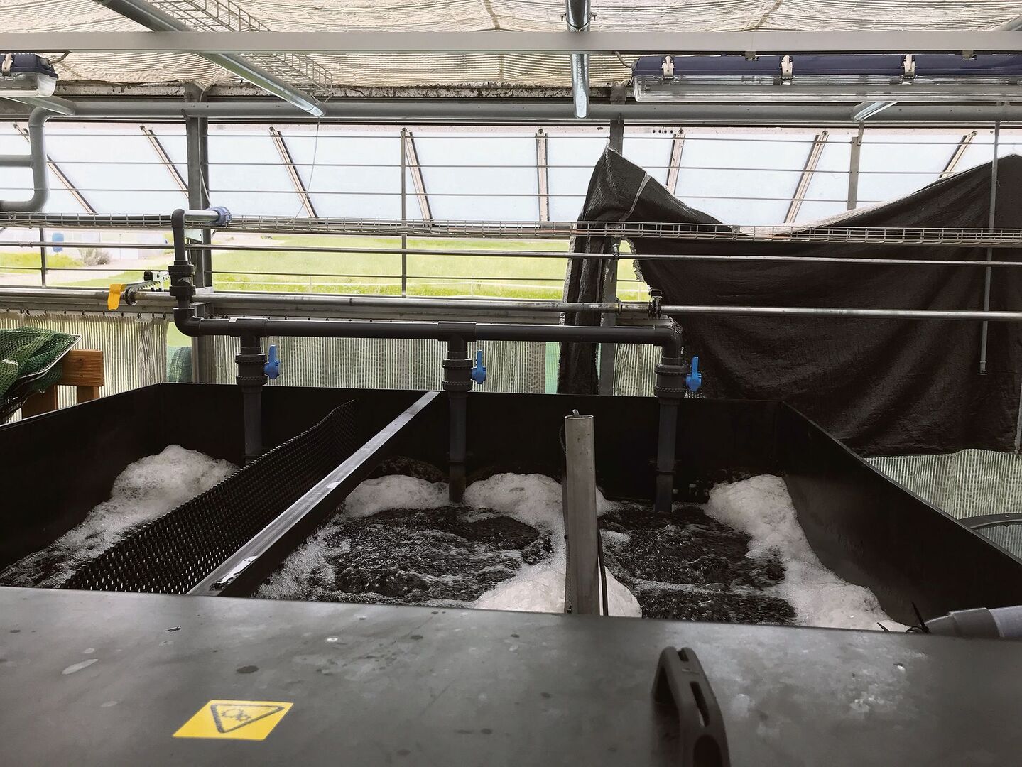 Der Baustart für die Fischzuchtanlage in Mollis erfolgt 2023. Die abgebildete Anlage gehört zur ZHAW in Wädenswil.