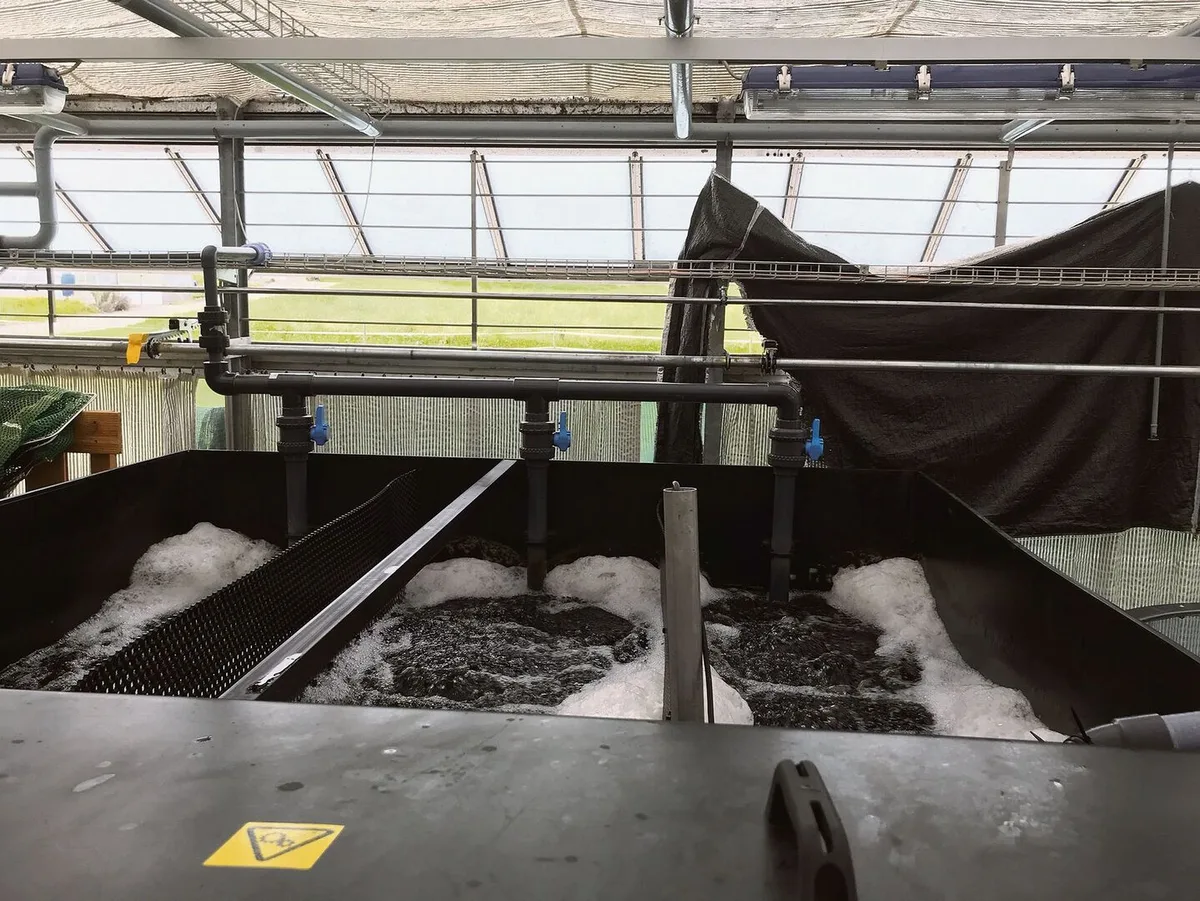 ff79fbbeab60edef3b53c9b0b9d7a37f7da11b144c07d337b942f3907a116c6f Der Baustart für die Fischzuchtanlage in Mollis erfolgt 2023. Die abgebildete Anlage gehört zur ZHAW in Wädenswil.