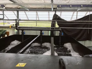 Der Baustart für die Fischzuchtanlage in Mollis erfolgt 2023. Die abgebildete Anlage gehört zur ZHAW in Wädenswil.
