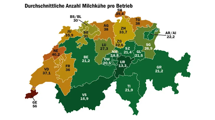 18a01986b13da8b039edbd7a27a6442bc0f997fa Die durchschnittliche Zahl der Milchkühe, die auf Betrieben gehalten werden schwankt im Kantonsvergleich stark. (Grafik: mi, Quelle: BLW, Daten Milchproduktion 2020)