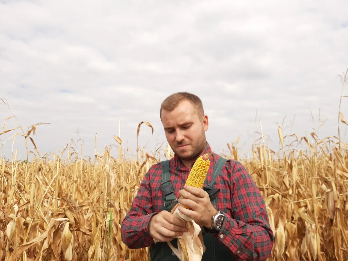 Säen, ernten, posten - junge Influencer in der Landwirtschaft