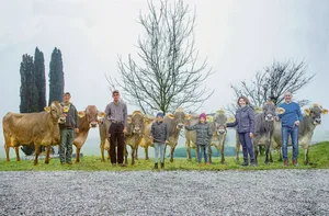 Im Stall der Familie Hausheer lebten gleichzeitig sieben Brown- Swiss-Kühe mit mehr als 100 000 kg Lebensleistung. Ein Bild, das wohl seinesgleichen sucht.