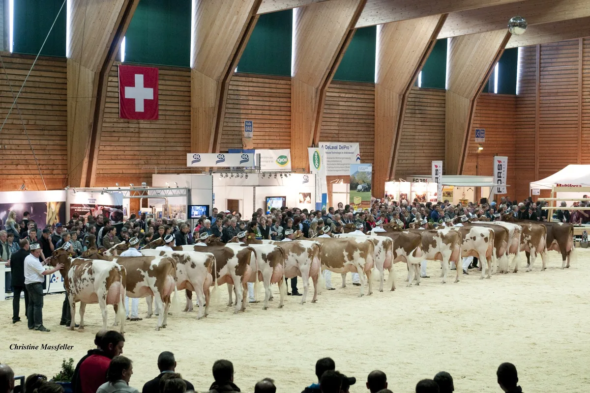 9c9d76126fe184ea08c9ce89da3029c6a6db2b5c Die Expo Bulle (hier das Bild einer früheren Durchführung) findet 2020 nicht statt. (Bild zVg)