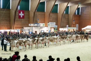 Die Expo Bulle (hier das Bild einer früheren Durchführung) findet 2020 nicht statt. (Bild zVg)