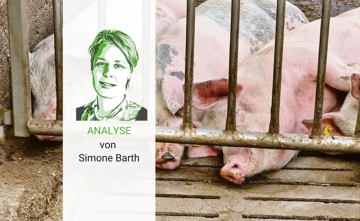 Artikel_Analyse_BauZ_BarthSchweine Das Überbringen der Hiobsbotschaften überlässt Migros gerne den anderen