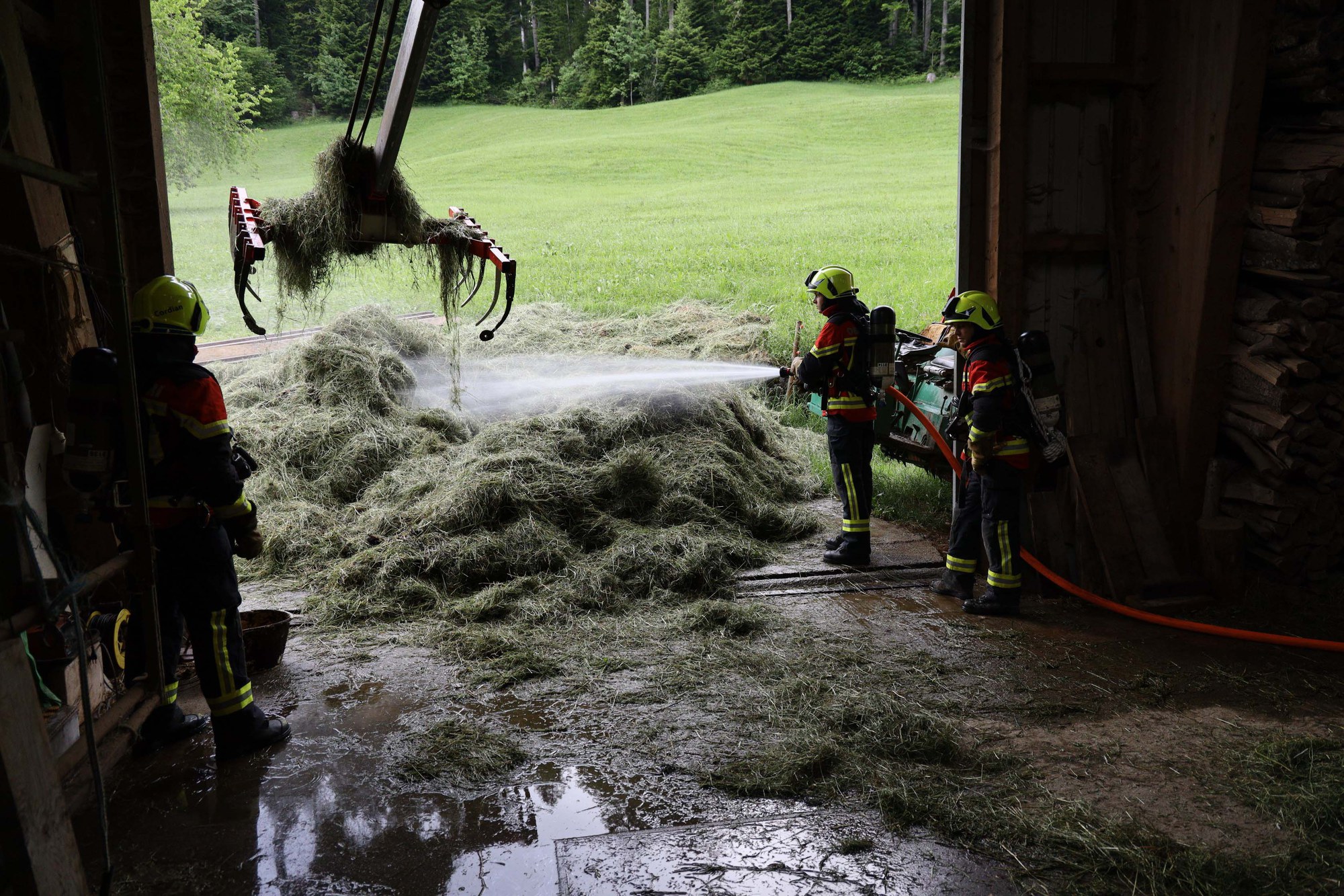 Kühe vor Mottbrand gerettet