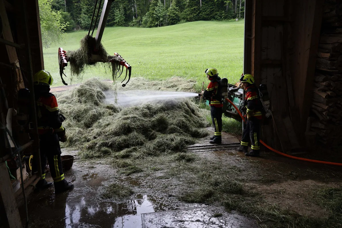 Kühe vor Mottbrand gerettet