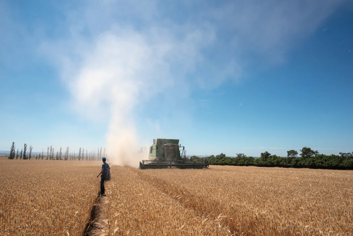 651abc982e3868fe019af267301cf2515aab2303 Landwirte sollten die voraussichtliche Drusch-Reihenfolge sollte schon früh planen. Wenn es möglich ist,sollten stets die gleichen Sorten direkt nacheinander geerntet werden.