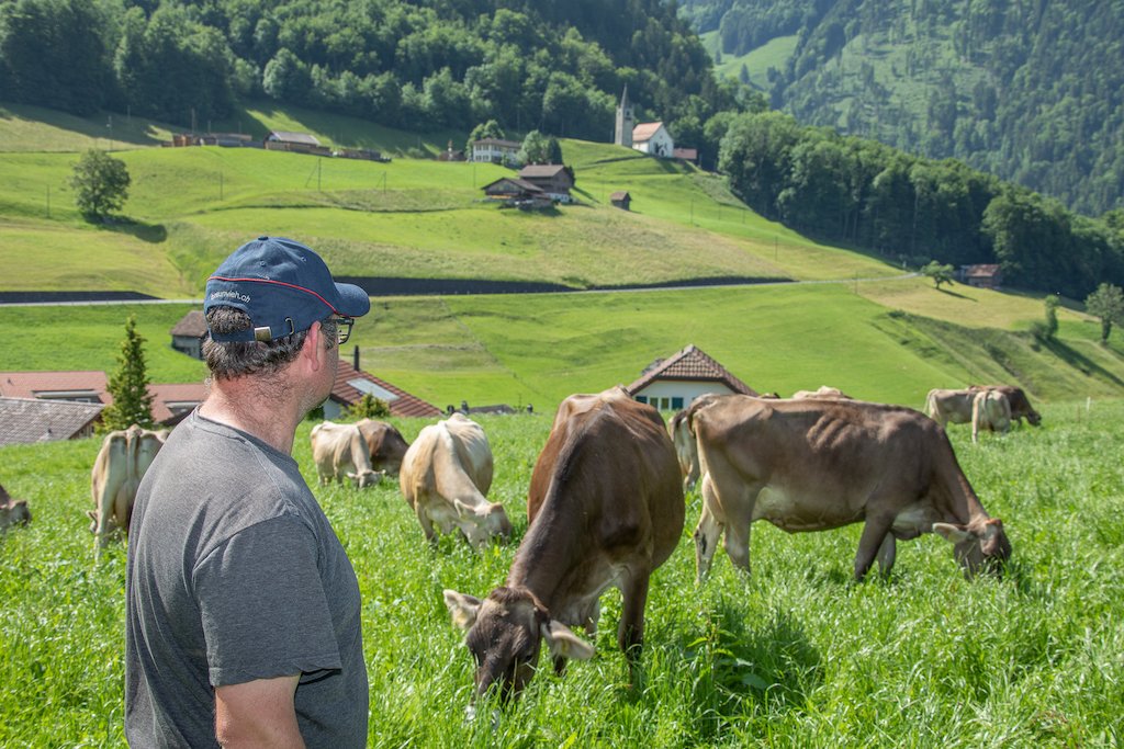 Die erfolgreichsten Braunvieh-Betriebsmanager im Jahr 2022