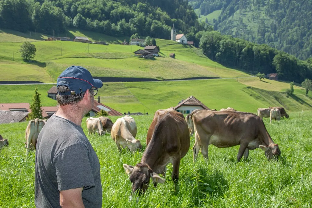 betriebsmanager_braunvieh Die erfolgreichsten Braunvieh-Betriebsmanager im Jahr 2022