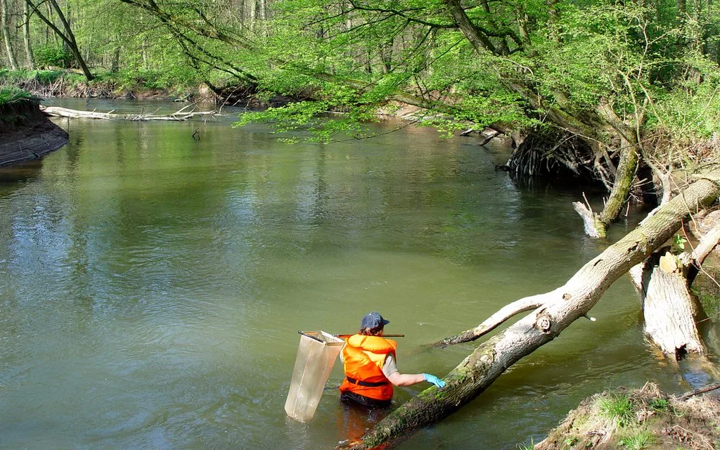 Wasserproben_eawag Der Artenvielfalt in Europas Gewässern geht es besser – aber das reicht nicht