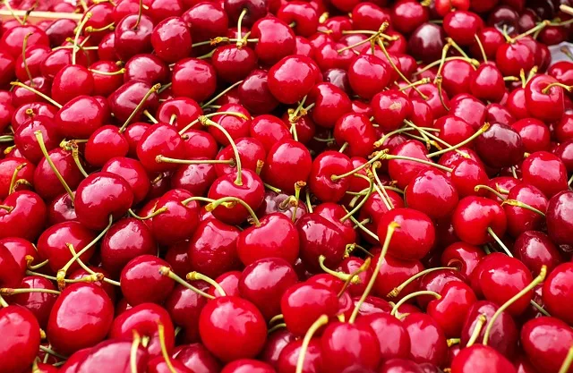 Die Schweizer Kirschen sind dank der vielen Sonnentage und kühlen Nächte von sehr guter Qualität. (Symbolbild Pixabay)