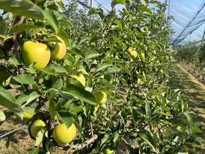 Weniger Spezialisierung und hin zu mehreren betrieblichen Standbeinen – so wünscht man sich die Landwirtschaft der Zukunft.