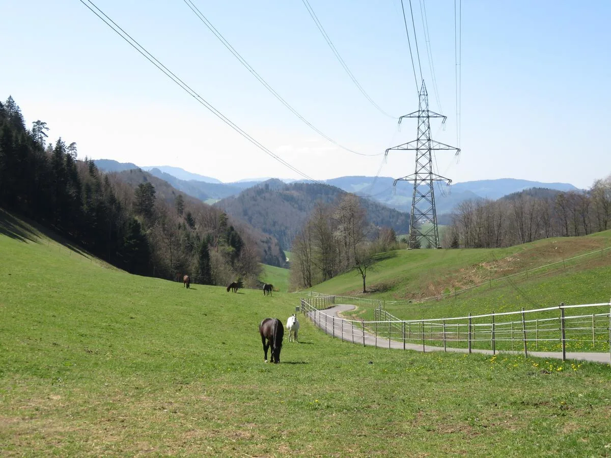Wer jetzt schon weiterdenkt, spart Strom und ist auf den Extremfall besser vorbereitet
