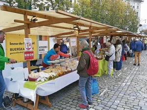 Käse degustieren und kaufen auf Distanz. Sowohl Aussteller(innen) wie Kund(innen) waren aber sehr zufrieden am Cheese-Festival in Luzern.
