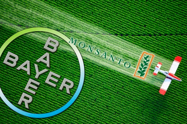 Die Bayer AG hat 2018 für 63 Mrd Euro die US-amerikanische Monsanto übernommen.