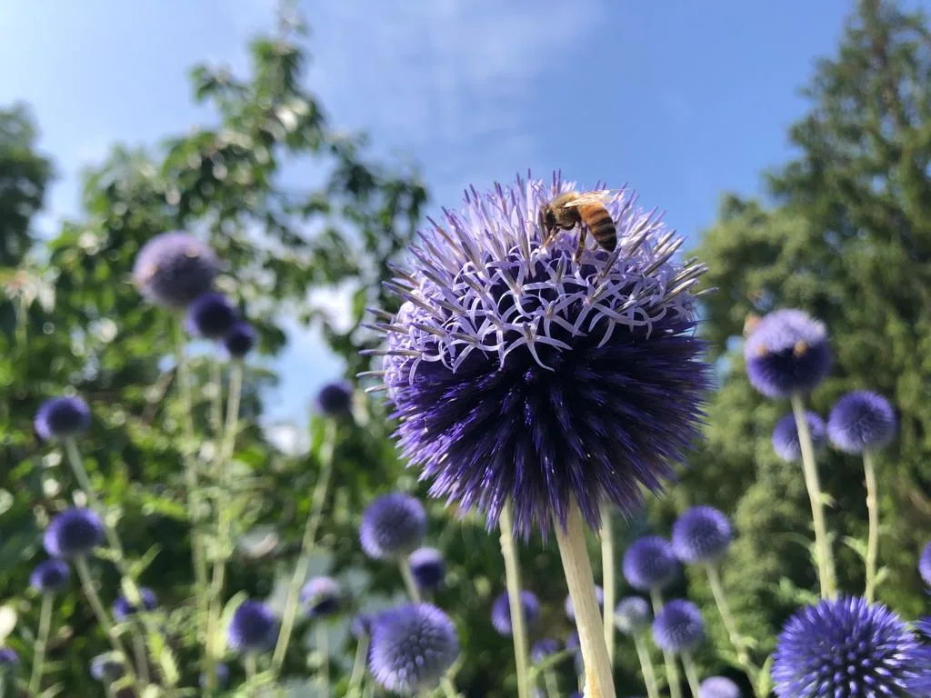 Kompromiss zur Biodiversitäts-Initiative: Unnötig oder eine Chance?