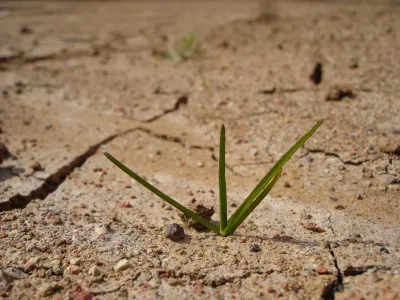 43685fb49233736aaf914a7d6e006b047bc03b5b Klimaschutz darf nicht auf Kosten des Artenschutzes gehen, fordert ein neuer Bericht. (Bild jens/pixelio.de)