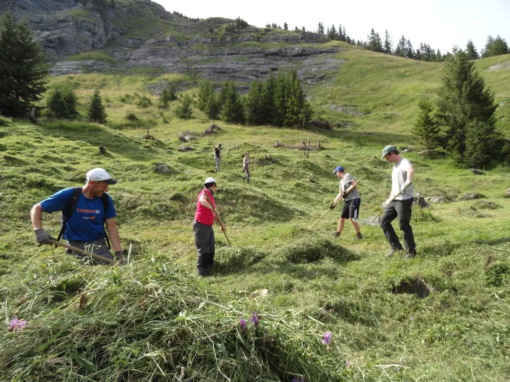 2ded3c2fd58ea966b41cea4c8794862e6c9a6916 Die Aktivitäten des Bergwaldprojekts umfassen Arbeiten im Schutzwald und in der Kulturlandschaft. Es sind teilweise auch mehrwöchige Einsätze möglich. (Bild Bergwaldprojekt)
