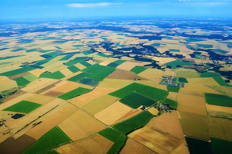 Bald 10 Prozent? Die Bio-Anbaufläche in Frankreich wächst. (Bild lid)