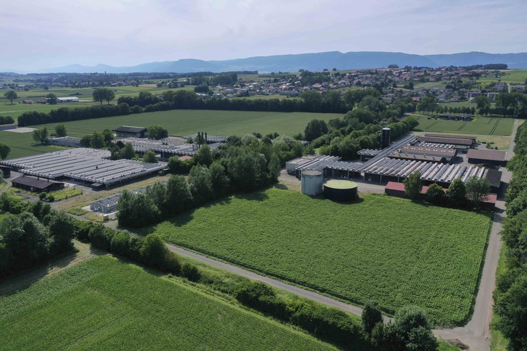 Auf dem AgriCo-Campus sind bereits die Unternehmen Bee Vectoring Technology, Alver, Edapro, Timac Agro, Vertical Master und Maison Amarella eingemietet. (Bild AgriFood)
