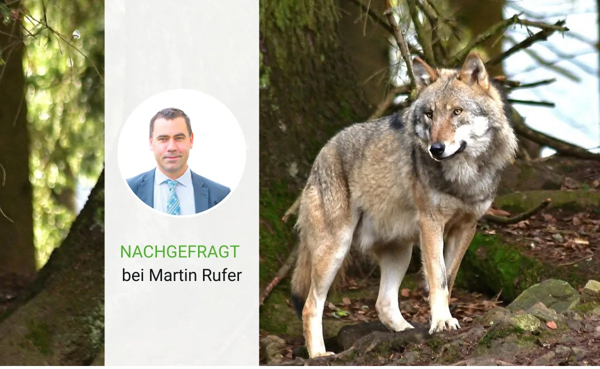 «Die Situation mit dem Wolf ist unerträglich geworden»