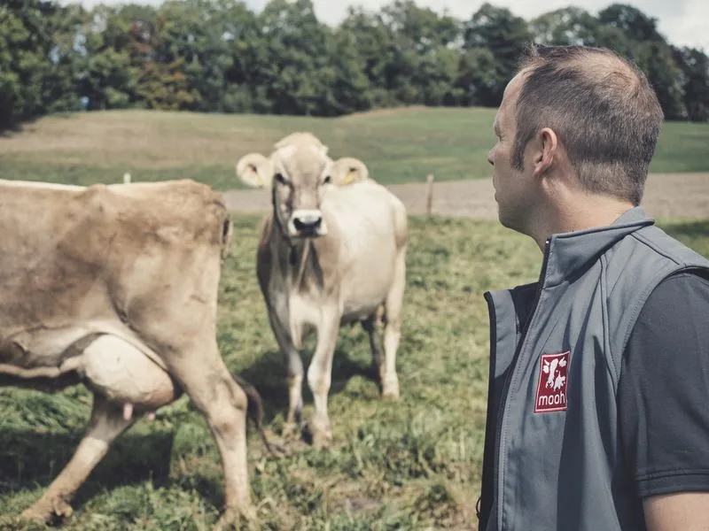 c0e59c057d77e8ba9a97fcf03ea5c807238e193b Die Mooh Genossenschaft ist mit knapp 3900 Milchproduzentinnen und –produzenten eine führende Milchproduzentenorganisation in der Schweiz. (Bild Phil Bucher / Mooh)