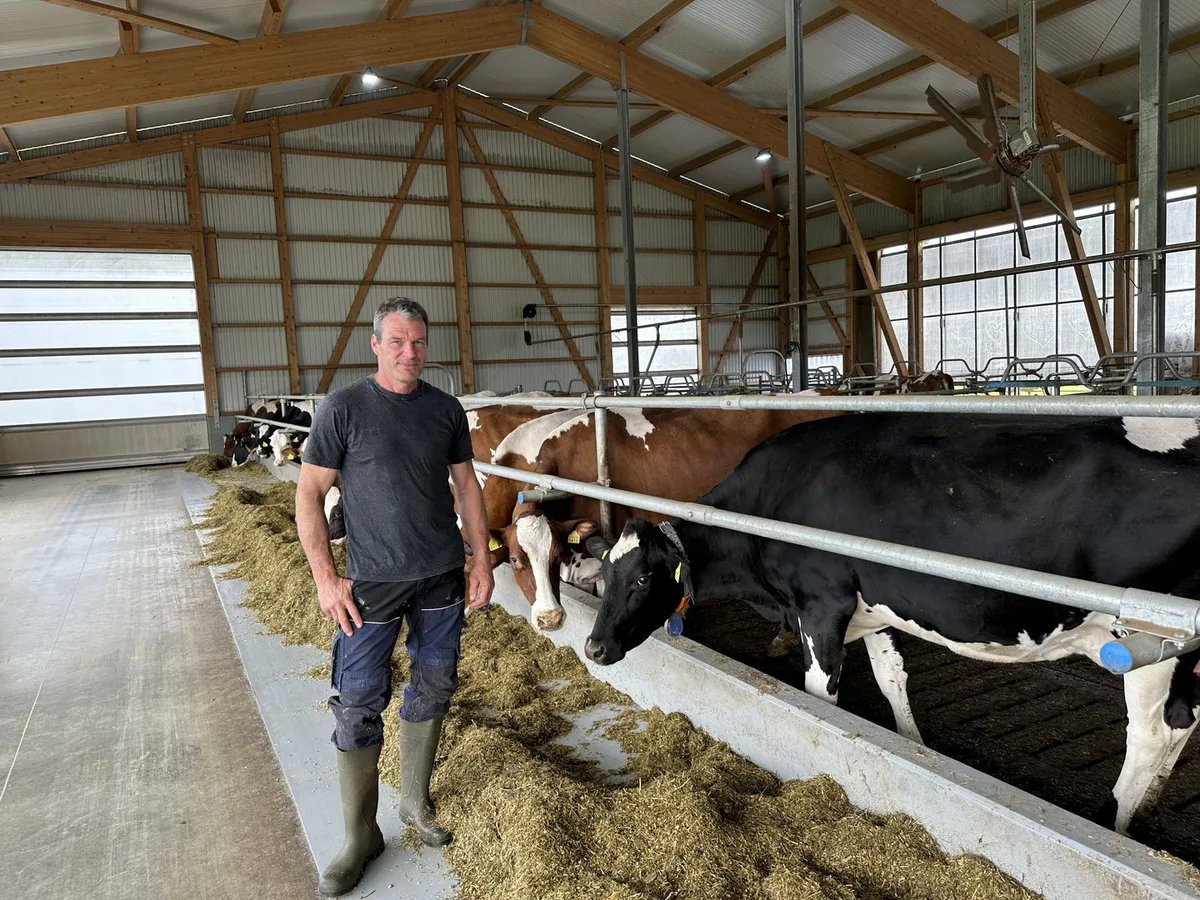 Steiger_stehend_im_Stall Luzerner Kreditkasse: Keine Wartezeiten für Kredite, aber die Liquidität sinkt