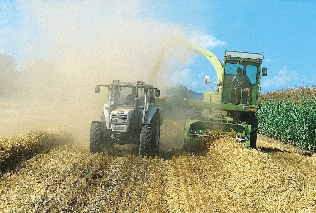 690afd249e089e6f3f6d39ffd9aea6a2eb03933b Bei der Getreideernte oder der Bodenbearbeitung ist der Staub deutlich zu sehen. Filter in den Traktor-Kabinen schützen wirksam. Bild: BUL