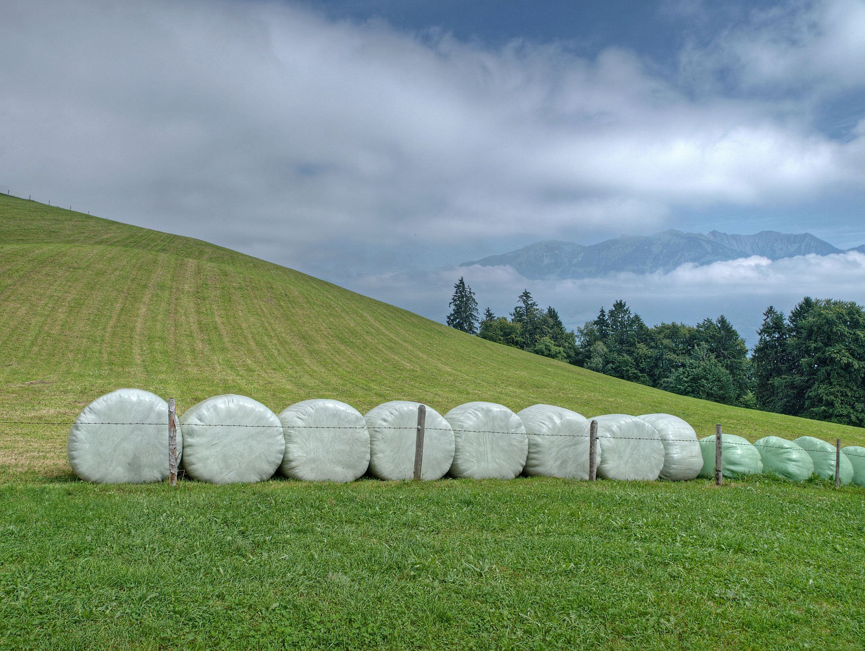 Kunststoff aus recyceltem Material benötigt weniger Energie als die Produktion von neuem Kunststoff. (Bild: Hermann Limacher/landwirtschaft.ch)