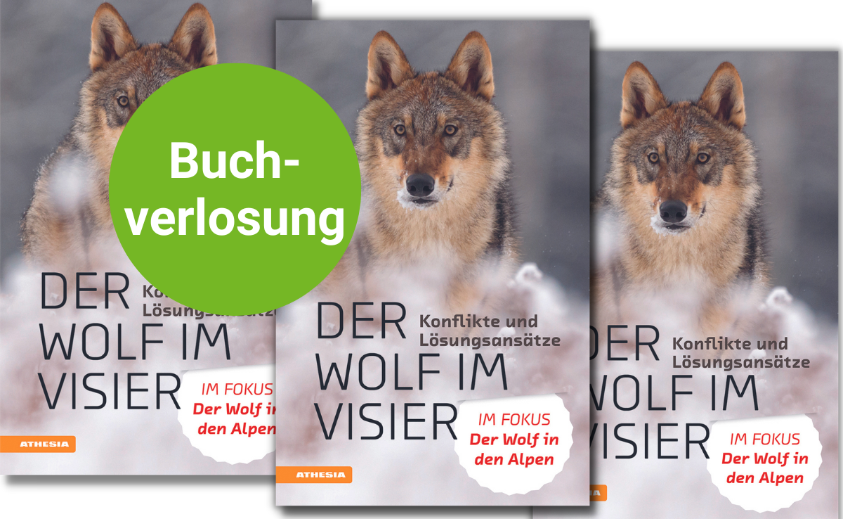 Das Fachbuch «Der Wolf im Visier – Konflikte und Lösungsansätze»