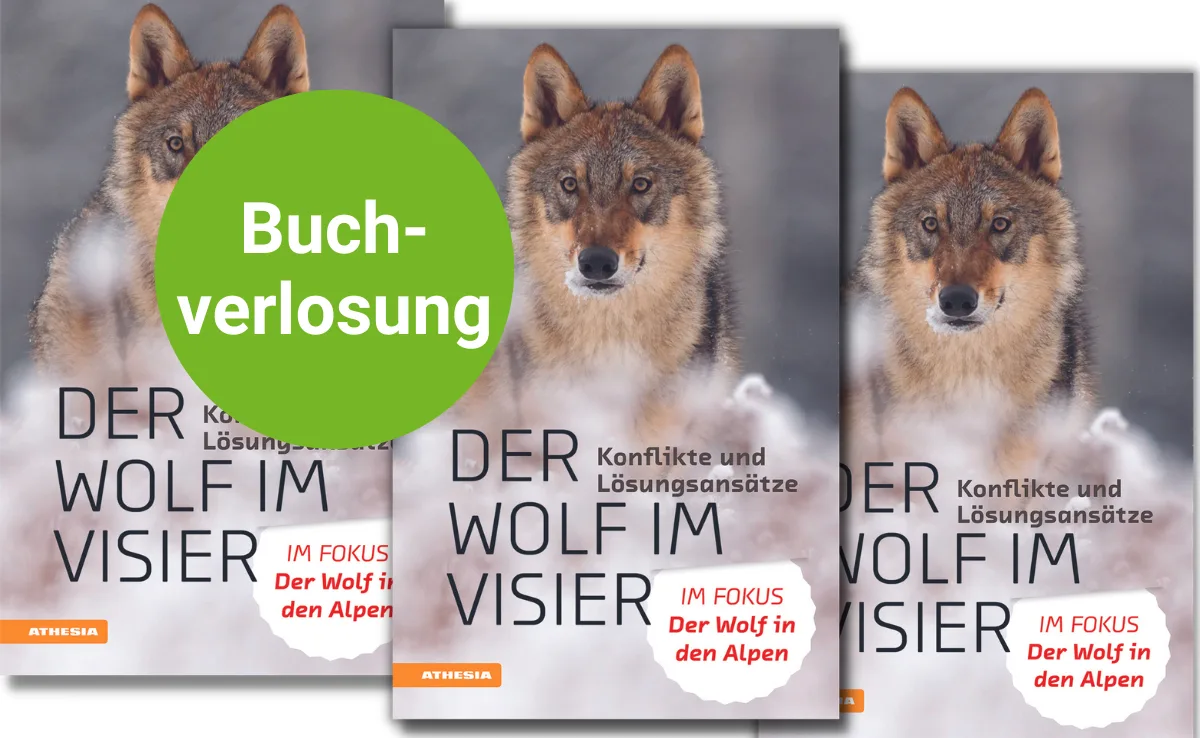 Artikel_divers_DG__5_ Das Fachbuch «Der Wolf im Visier – Konflikte und Lösungsansätze»