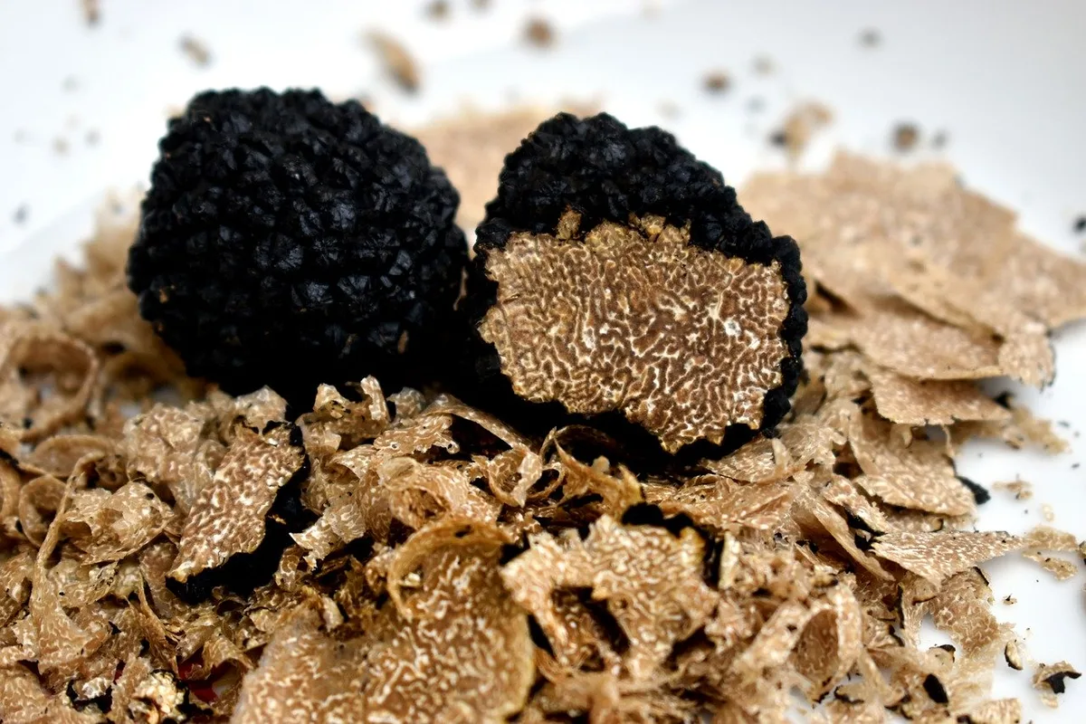 Schwarze Trüffel sind weniger wertvoll als weisse. (Bild Pixabay)